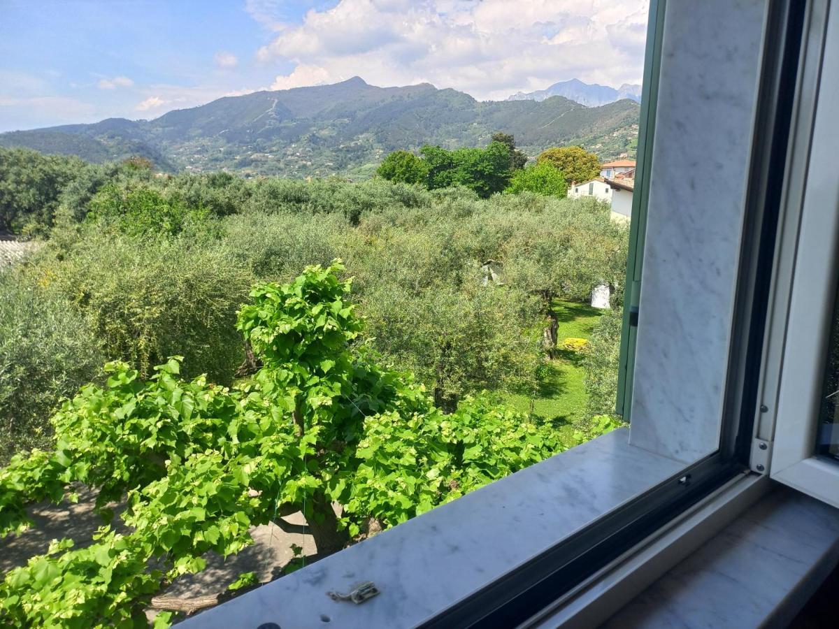 La Madonnina Bed & Breakfast Querceta Exterior photo